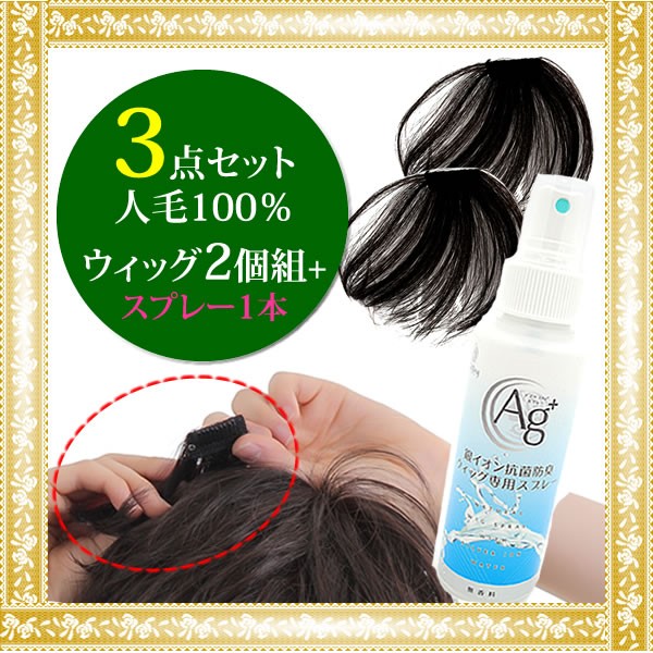 ウィッグ ヘアピース 人毛100％ 円形脱毛症 部分ウィッグ かつら 送料