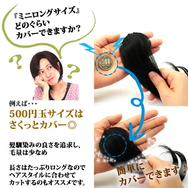ウィッグ ヘアピース 人毛100％ 円形脱毛症 部分ウィッグ かつら