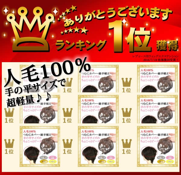 ウィッグ ヘアピース 人毛100％ ミセス 部分ウィッグ かつら トップ 総