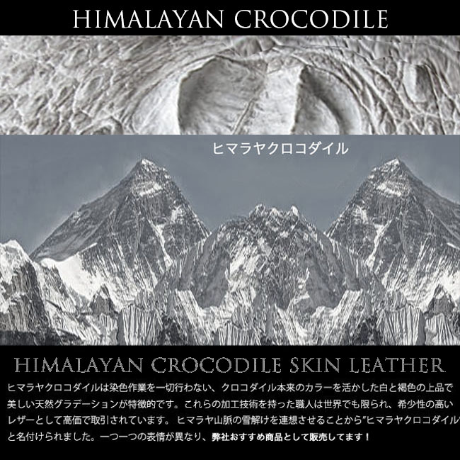 長財布　超薄　ヒマラヤクロコダイル　ワイルドハーツ 長財布 超薄 ヒマラヤクロコダイル ワイルドハーツ