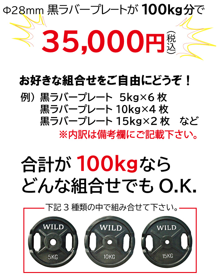 Φ28mm レギュラー 黒ラバープレート 100kg セット (返品・交換・代引き