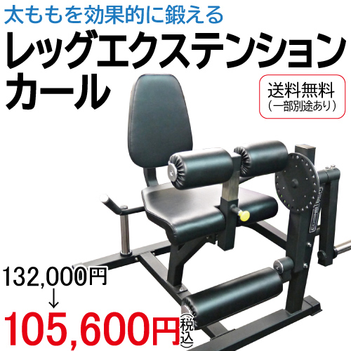 WILD FIT（ワイルドフィット） [即納OK] レッグエクステンション