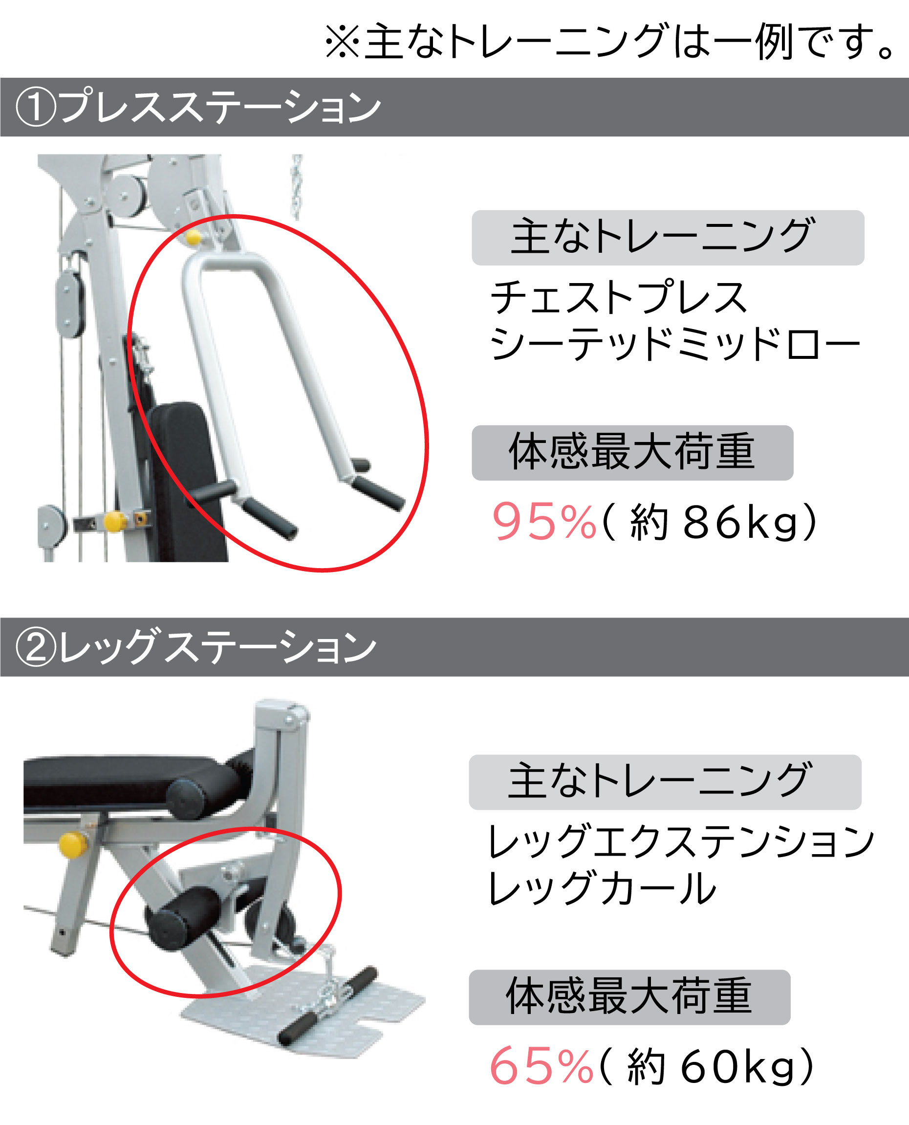 1560ホームジム / ワイルドフィット impulse トレーニング器具 トレーニングマシン ホームジム 業務用 DX ラットプルダウン 自宅