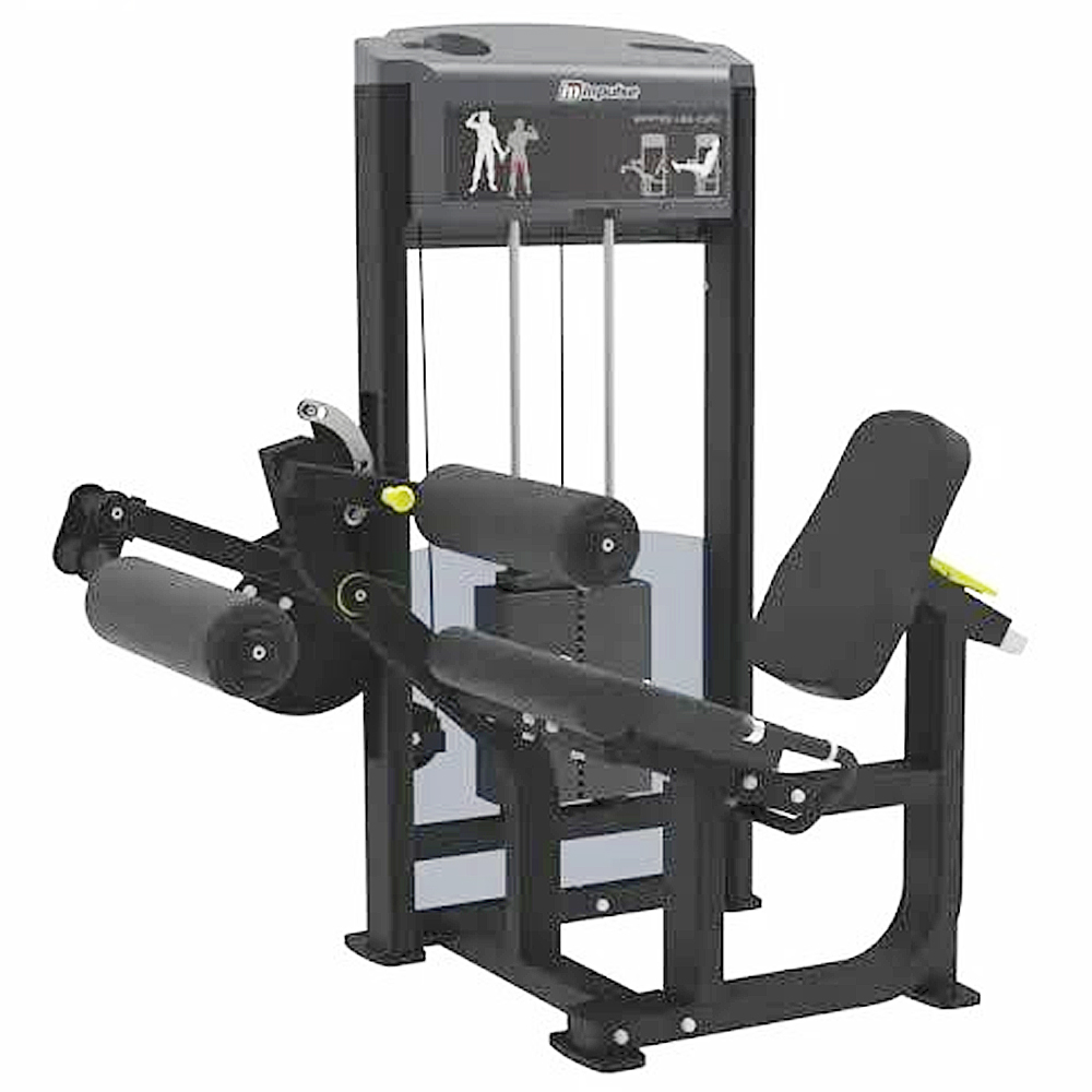 WILD FIT（ワイルドフィット） レッグエクステンション/レッグカール