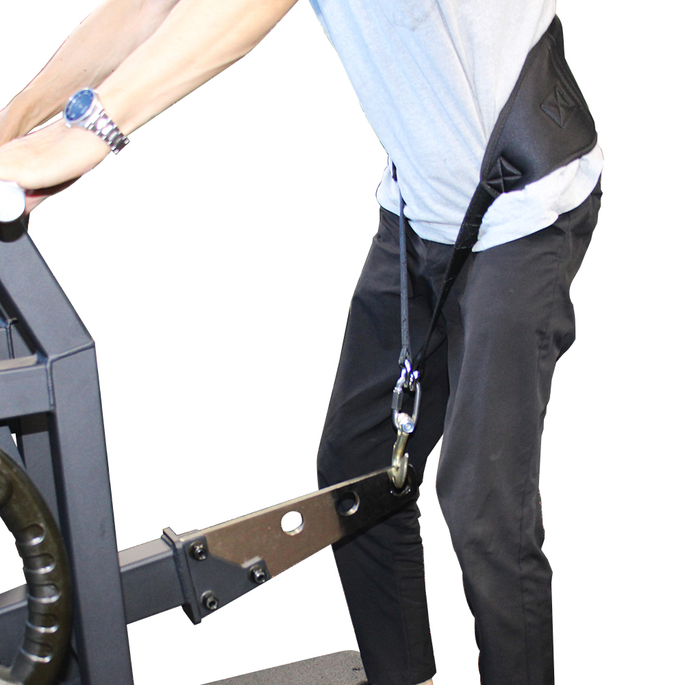 WILD FIT ベルトスクワット / 送料無料 ジム 自宅 業務用