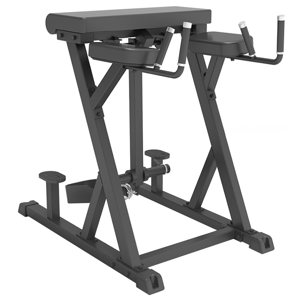 WILD FIT（ワイルドフィット） リバースハイパーエクステンション