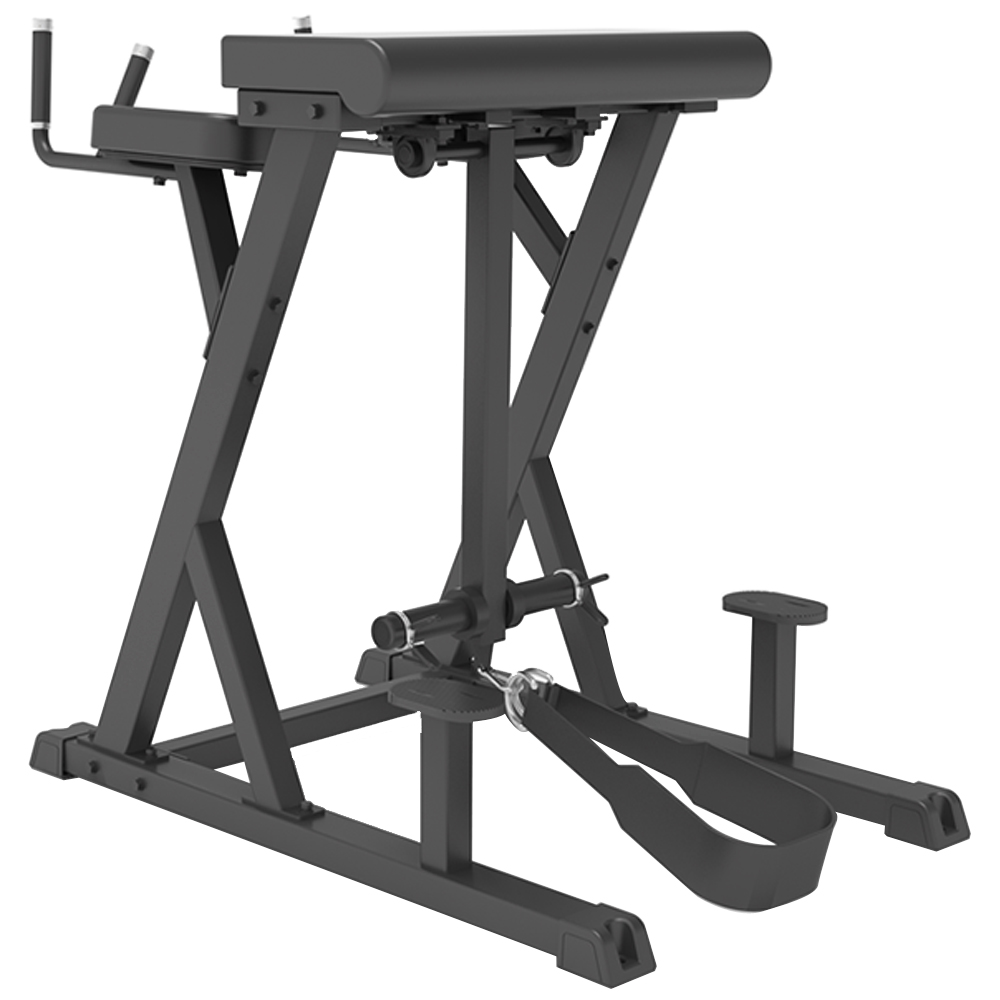 WILD FIT（ワイルドフィット） リバースハイパーエクステンション