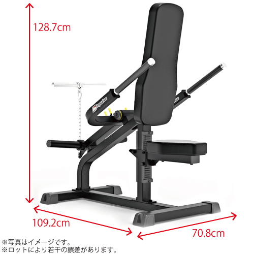 WILD FIT（ワイルドフィット） バイセプストライセプス / 送料無料