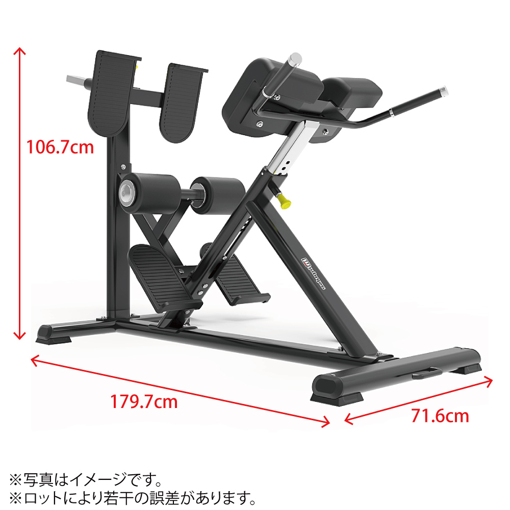 WILD FIT（ワイルドフィット） バックエクステンションベンチ