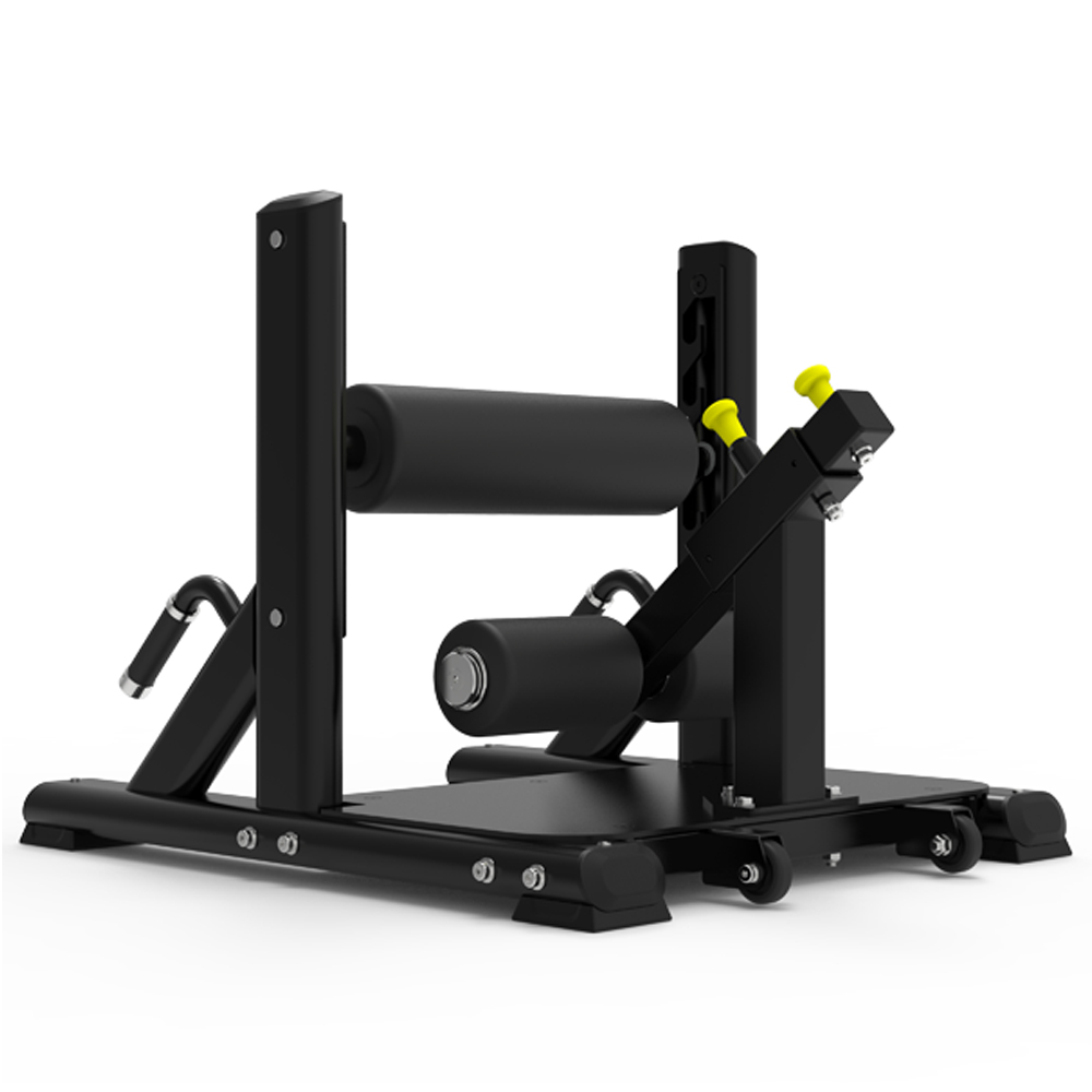 WILD FIT（ワイルドフィット） シシー＆スプリットスクワットベンチ