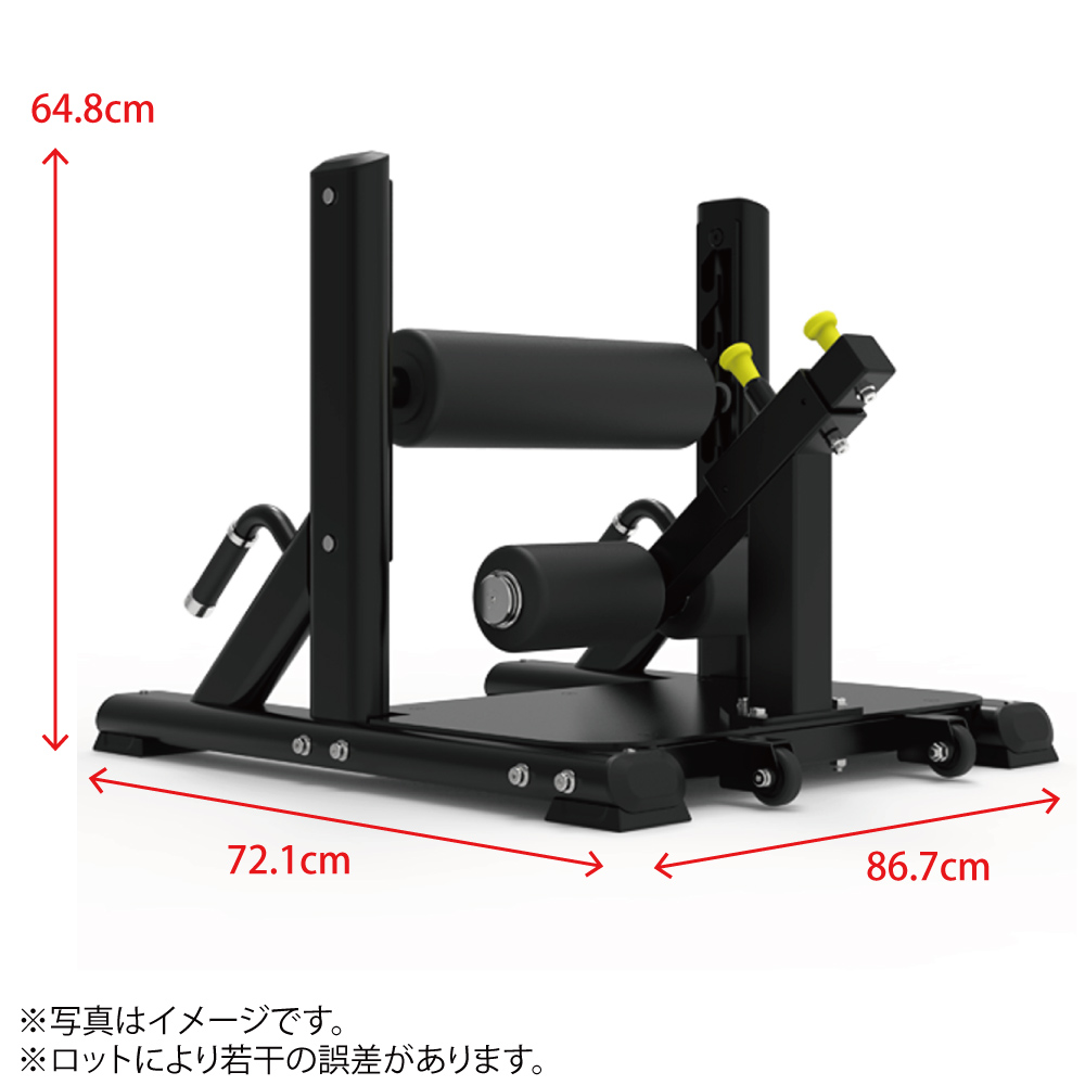 WILD FIT（ワイルドフィット） シシー＆スプリットスクワットベンチ