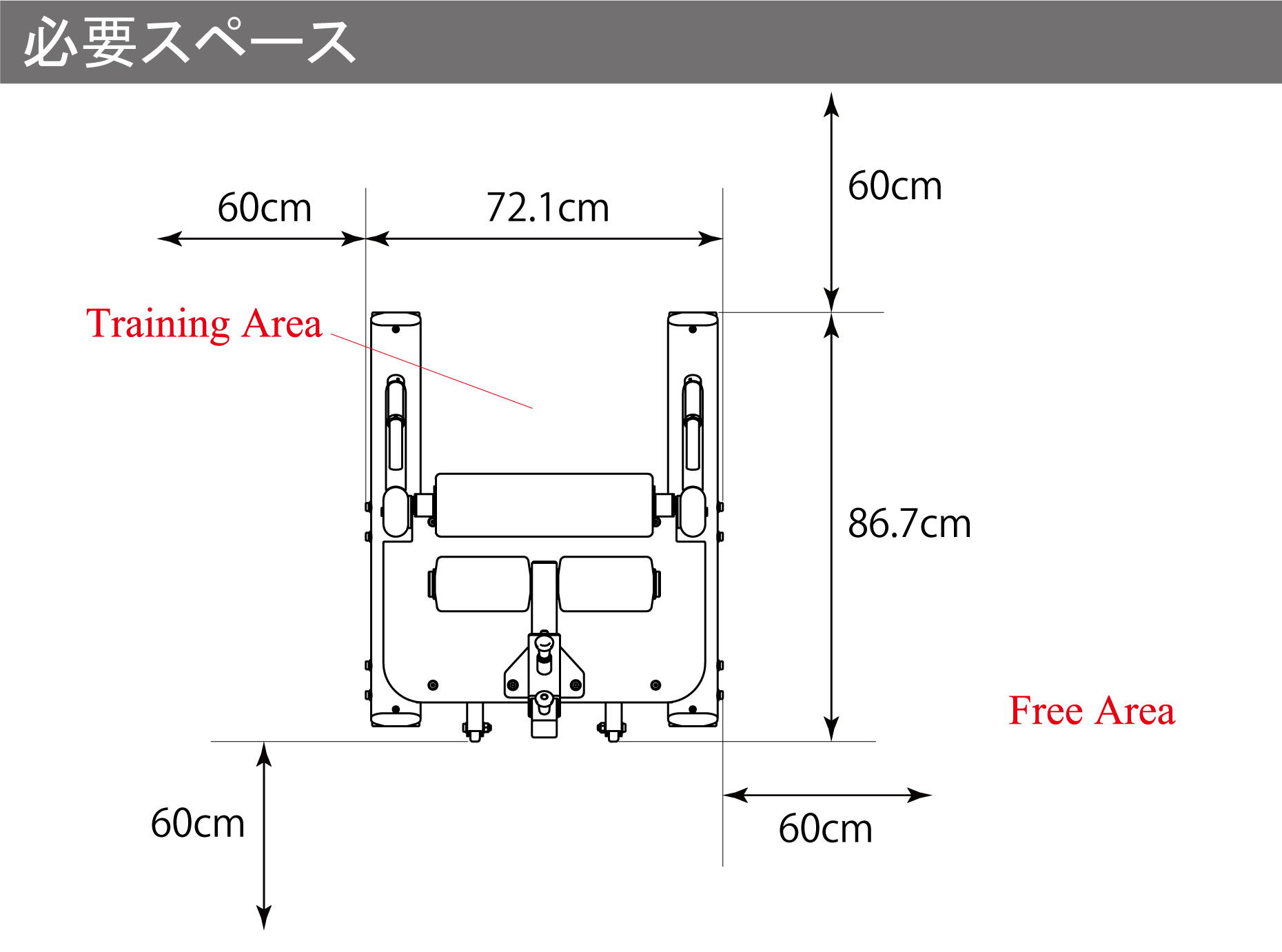 WILD FIT（ワイルドフィット） シシー＆スプリットスクワットベンチ