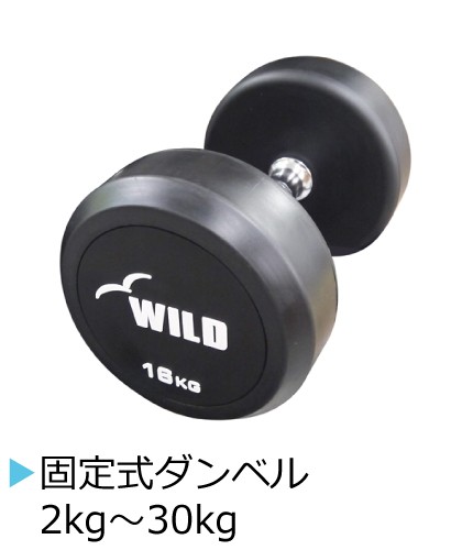 ワイルドフィット - Φ28 レギュラー｜Yahoo!ショッピング