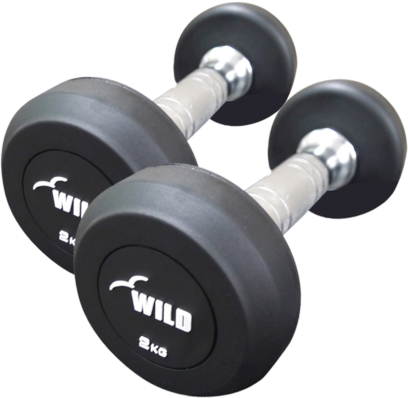 WILD FIT（ワイルドフィット） 5月入荷予定 固定式 ダンベル 2kg WF 2