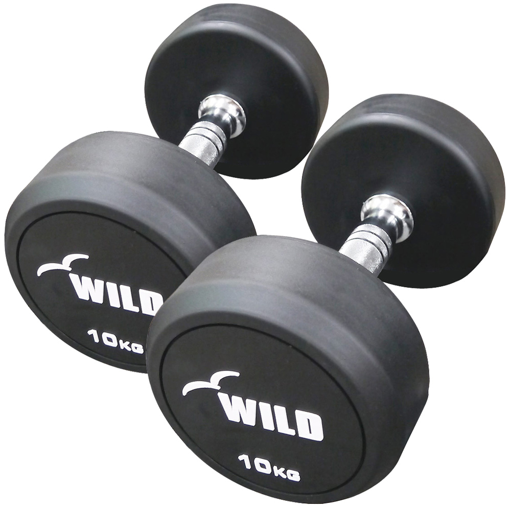 WILD FIT ダンベル 計24kg プレート5kg×4枚 シャフト×2本 ワイルドフィット 筋トレ トレーニング 札幌 西野店 WILD FIT（ワイルドフィット） 固定式 ダンベル 10kg WF 2本セット