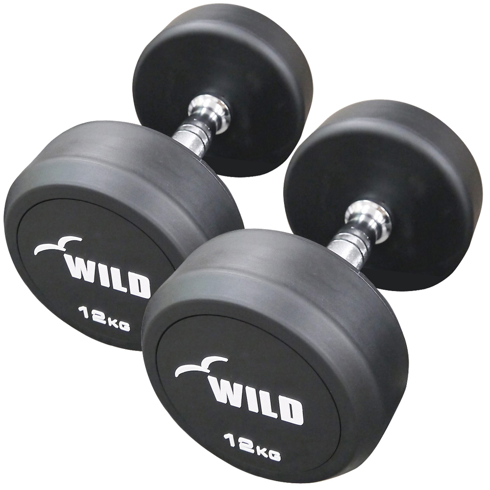 WILD FIT（ワイルドフィット） 固定式 ダンベル 12kg WF 2本セット