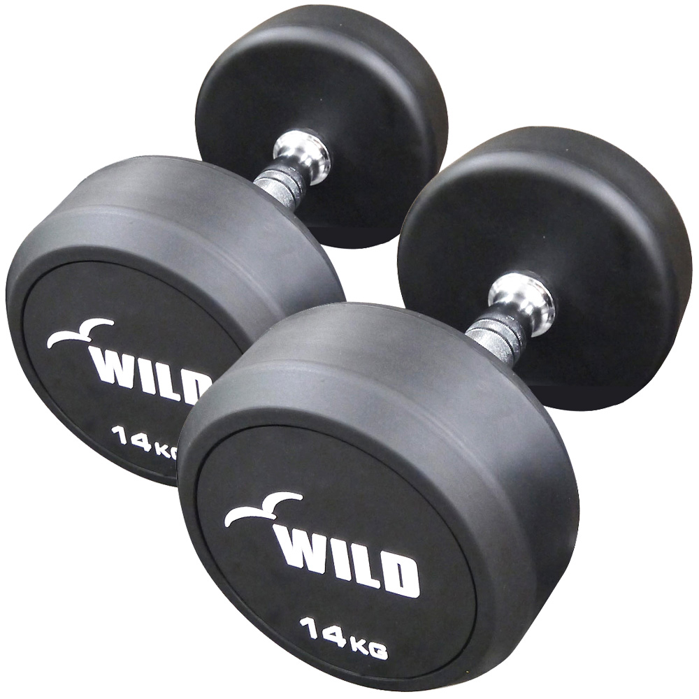 WILD FIT（ワイルドフィット） 固定式 ダンベル 14kg WF 2本セット