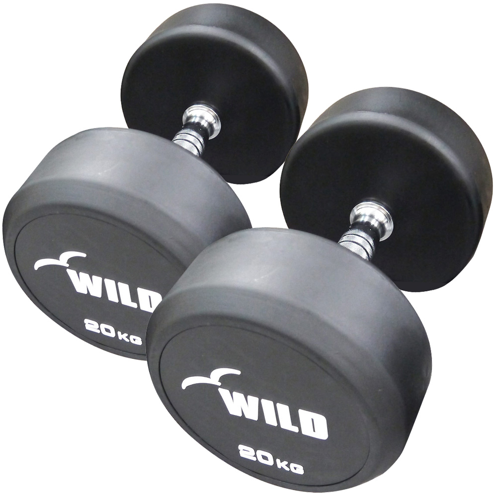 WILD FIT（ワイルドフィット） 固定式 ダンベル 20kg WF 2本セット