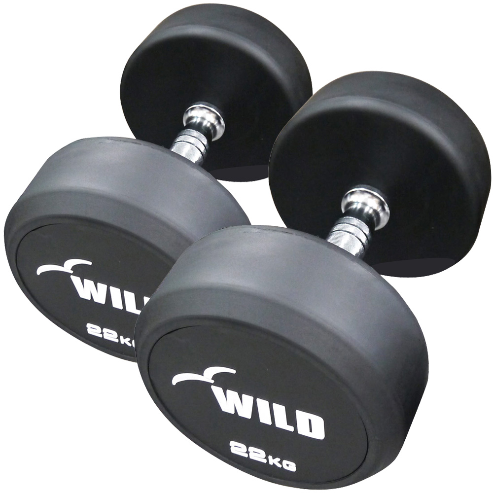 WILD 22kg ダンベル　状態良い　最安値2 WILD FIT（ワイルドフィット） 固定式 ダンベル 22kg WF 2本セット