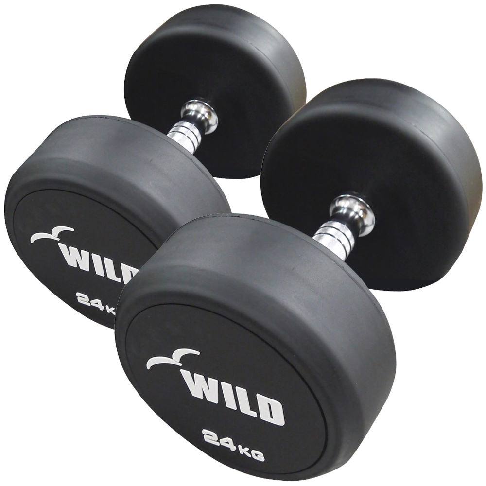 WILD FIT（ワイルドフィット） 固定式 ダンベル 24kg WF 2本セット 