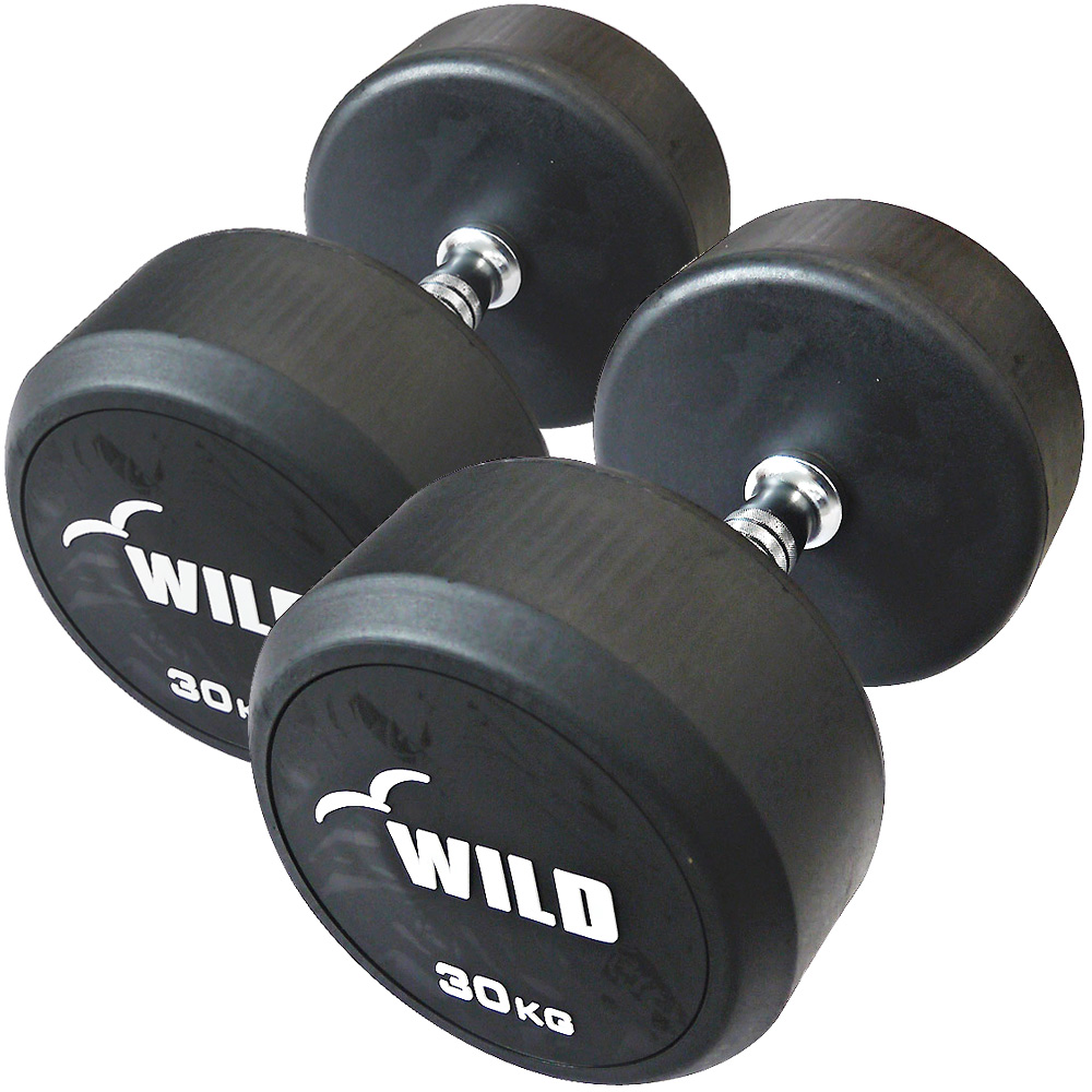 WILD FIT（ワイルドフィット） 固定式 ダンベル 30kg WF 2本セット
