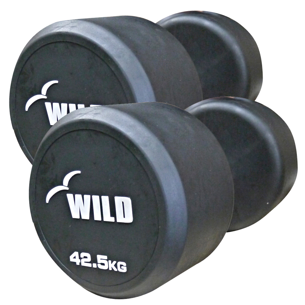 WILD FIT（ワイルドフィット） 固定式 ダンベル 42.5kg WF 2本セット