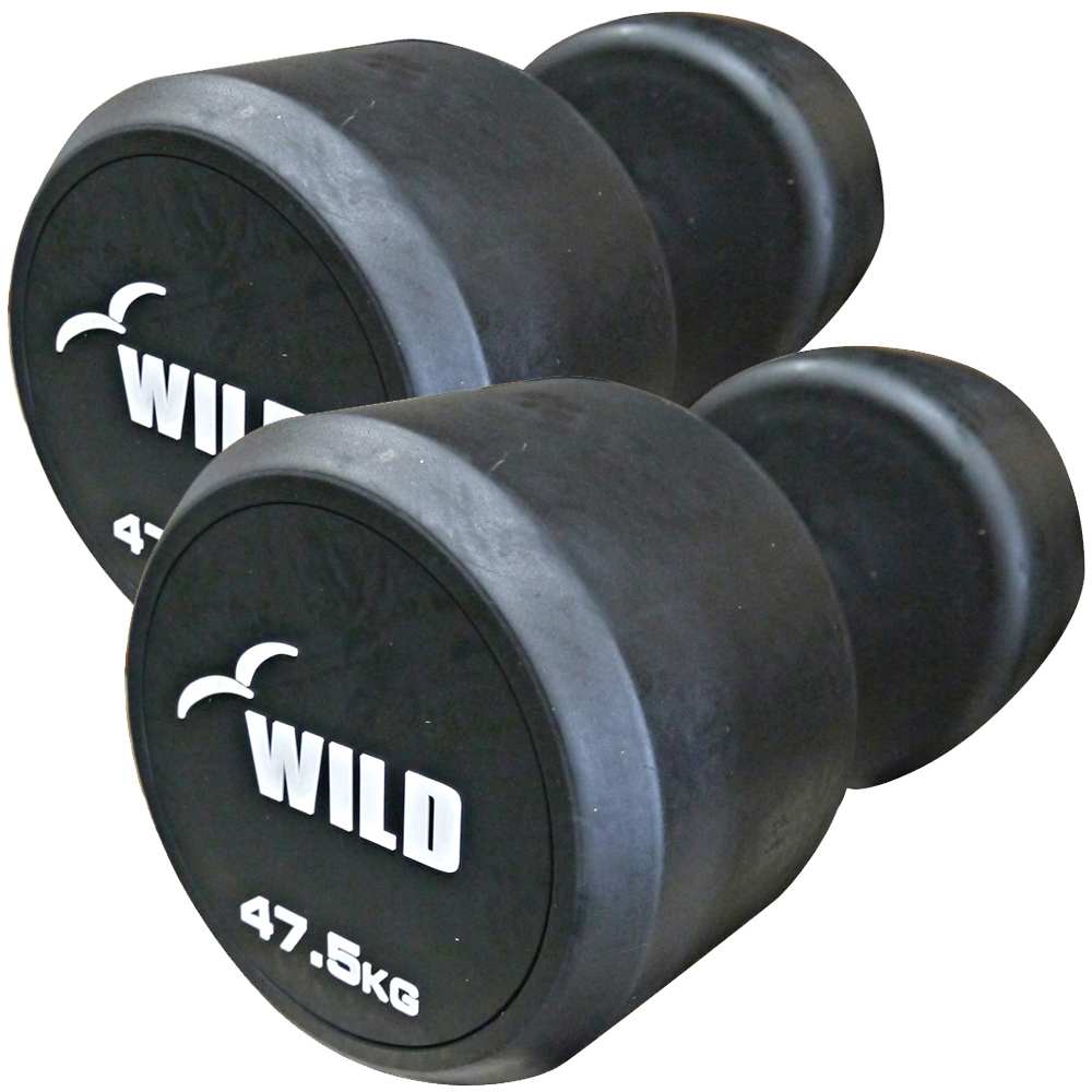 WILD 22kg ダンベル　状態良い　最安値2 WILD FIT（ワイルドフィット） 固定式 ダンベル 47.5kg WF 2本セット