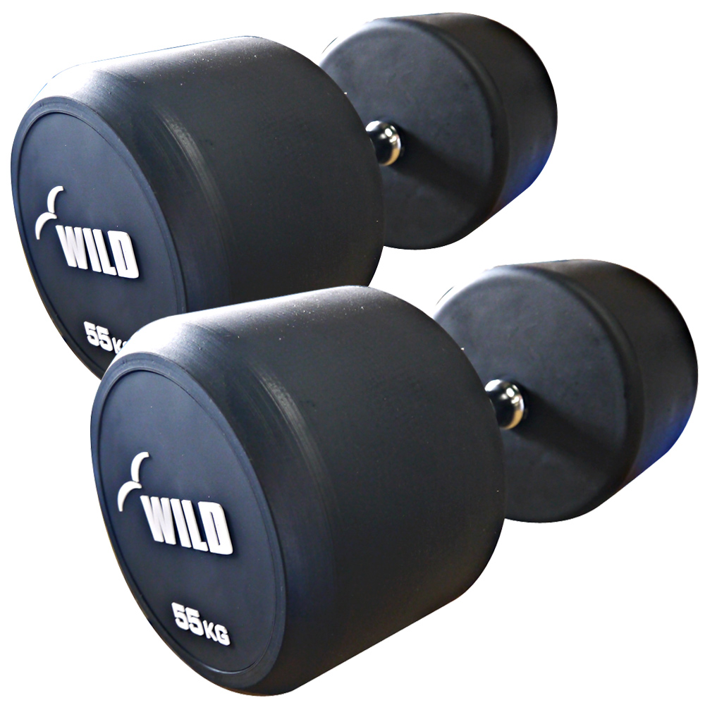 WILD FIT（ワイルドフィット） 固定式 ダンベル 55kg WF 2本セット