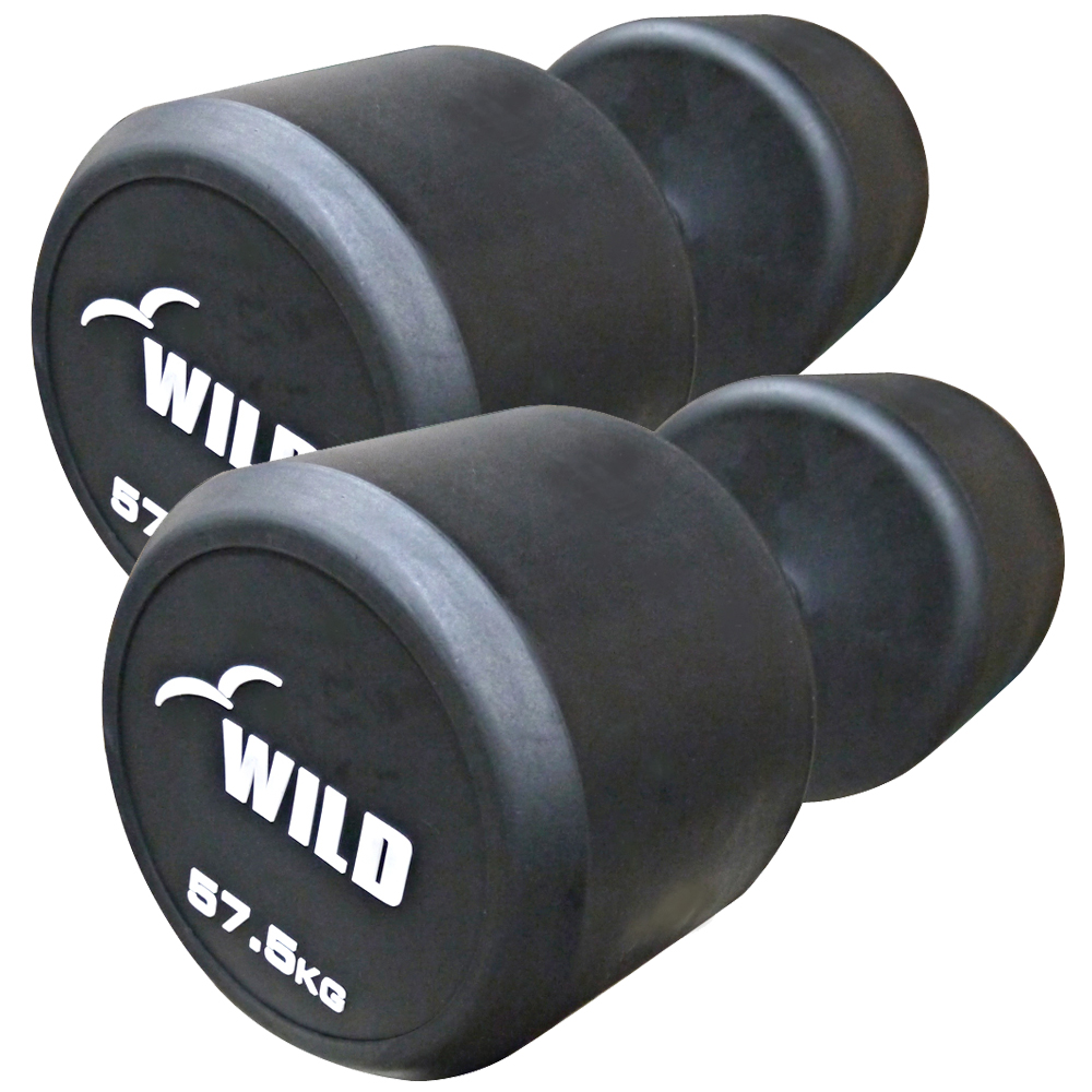 WFG ワイルドフィット 28ミリ用ダンベルプレート10kg 22lb セット② WILD FIT（ワイルドフィット） 固定式 ダンベル 57.5kg WF 2本セット