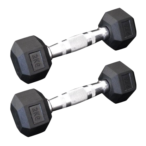 WILD FIT（ワイルドフィット） 固定式 六角ダンベル 2kg 2本セット