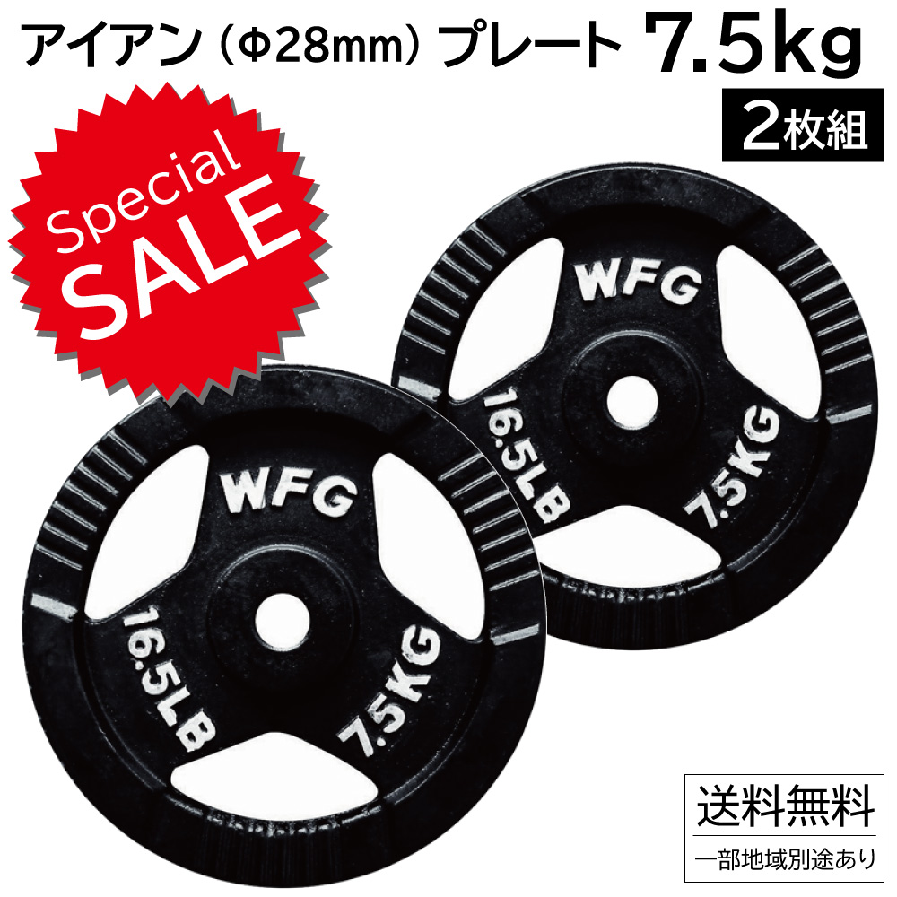 ワイルドフィット製 10kgプレート×2枚 28㎜用 美品 ワイルドフィット 10kgプレート2枚 28mm 用 - メルカリ