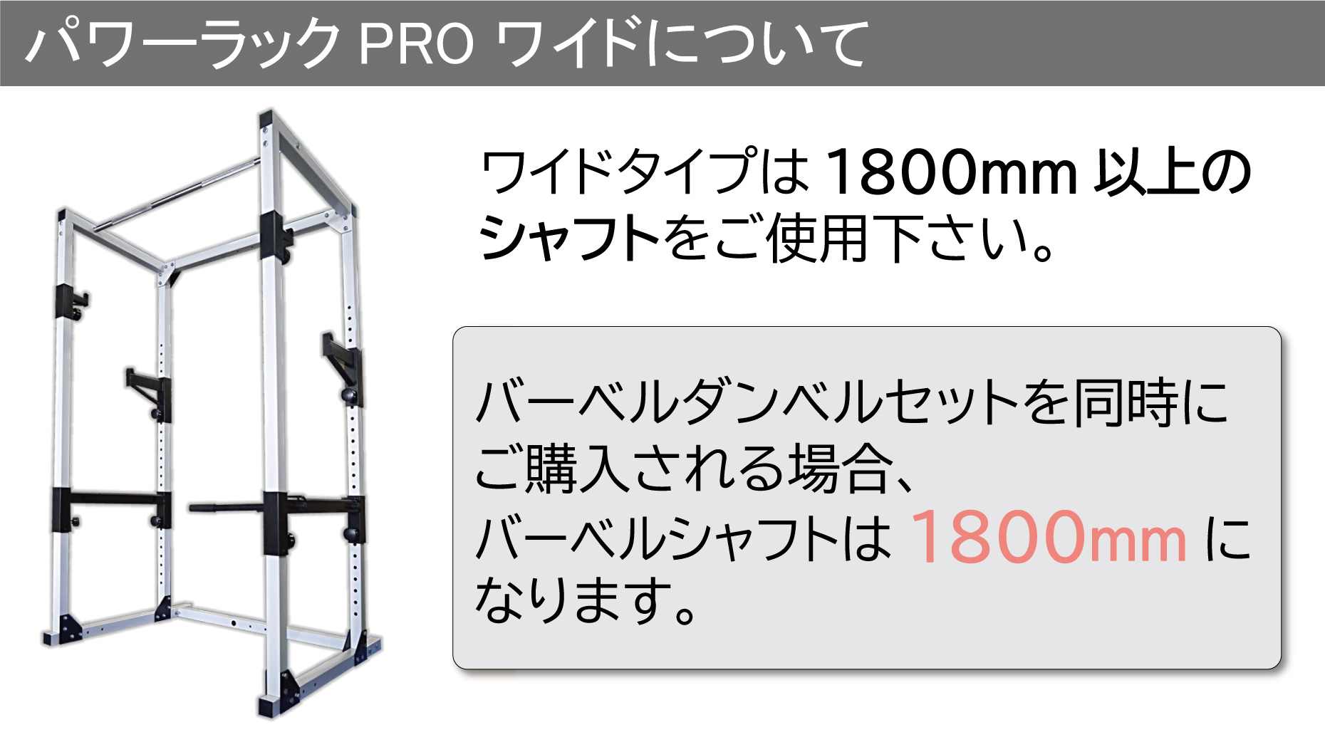 WILD FIT（ワイルドフィット） パワーラック PRO ワイド / バーベル 筋