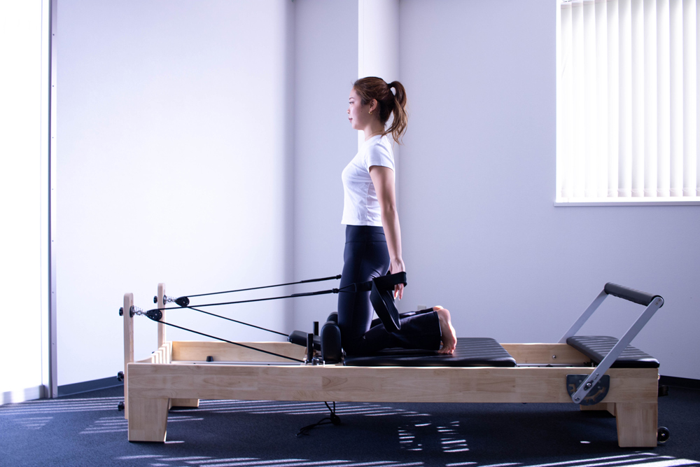 WILD FIT（ワイルドフィット） フェア開催中 [おまかせパック