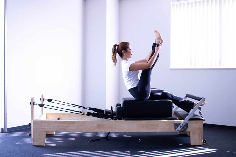 WILD FIT（ワイルドフィット） フェア開催中 [おまかせパック