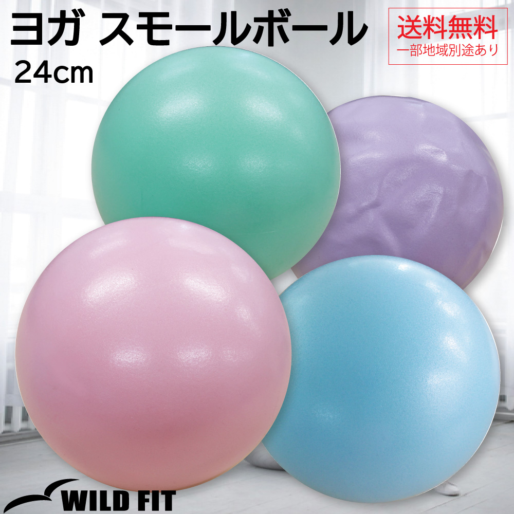 WILD FIT（ワイルドフィット） ヨガ スモールボール フィットネス