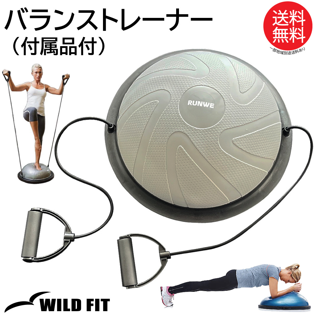 WILD FIT（ワイルドフィット） バランストレーナー 付属品付 空気入れ 