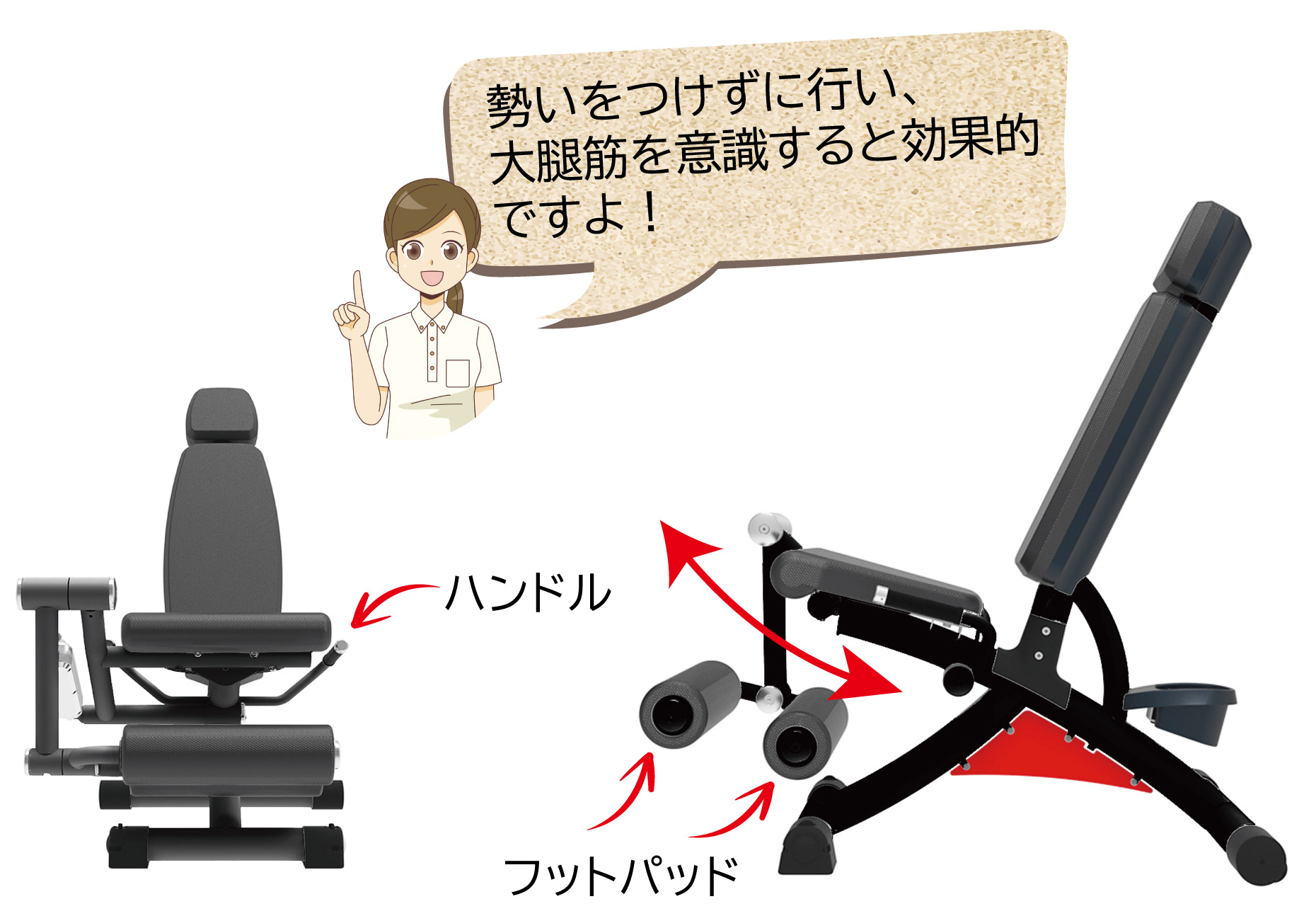 WILD FIT 5月下旬入荷予定 レッグエクステンション・レッグ