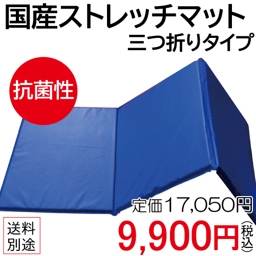 WILD FIT（ワイルドフィット） 抗菌性 国産ストレッチマット / 三