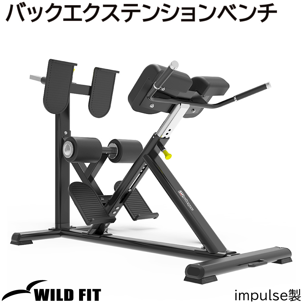 WILD FIT（ワイルドフィット） バックエクステンションベンチ