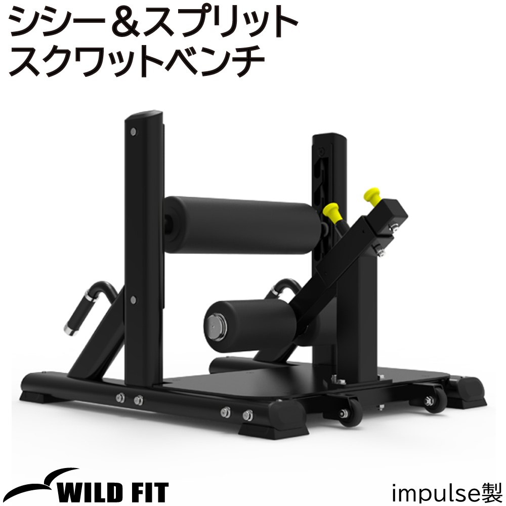 WILD FIT（ワイルドフィット） シシー＆スプリットスクワットベンチ