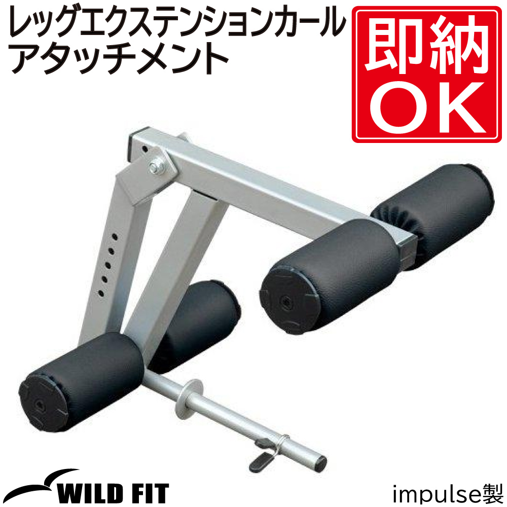 WILD FIT（ワイルドフィット） レッグエクステンションカール