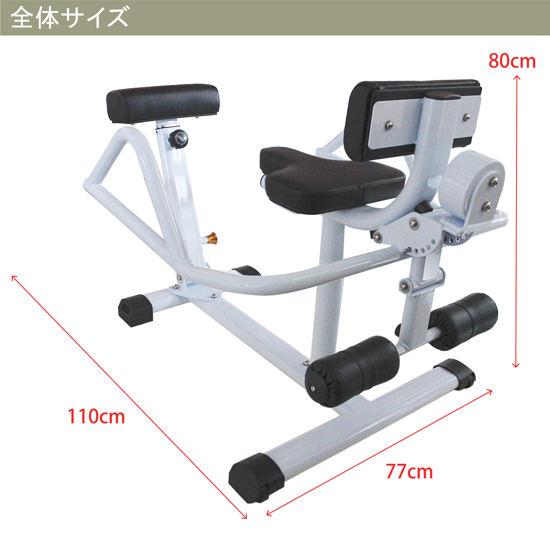 サイズ