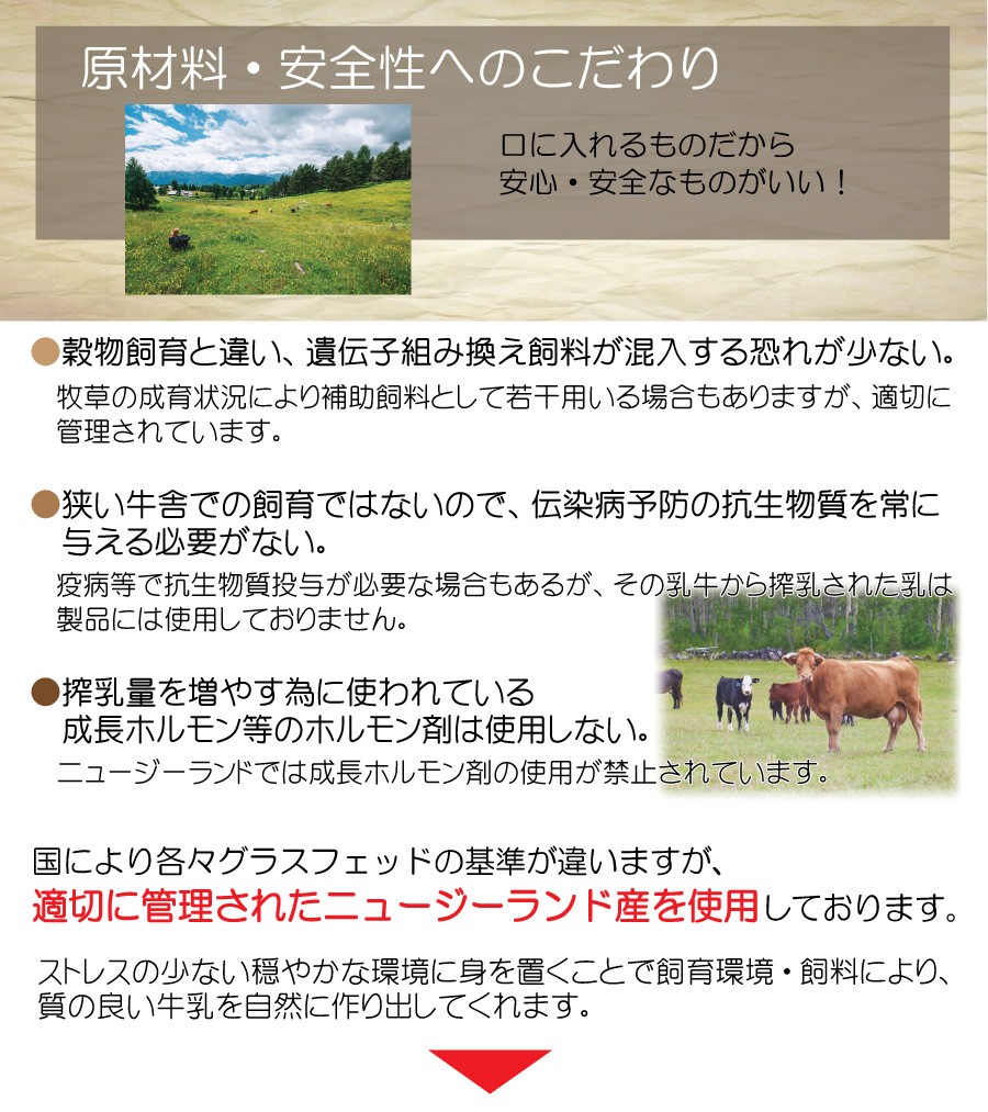 特長