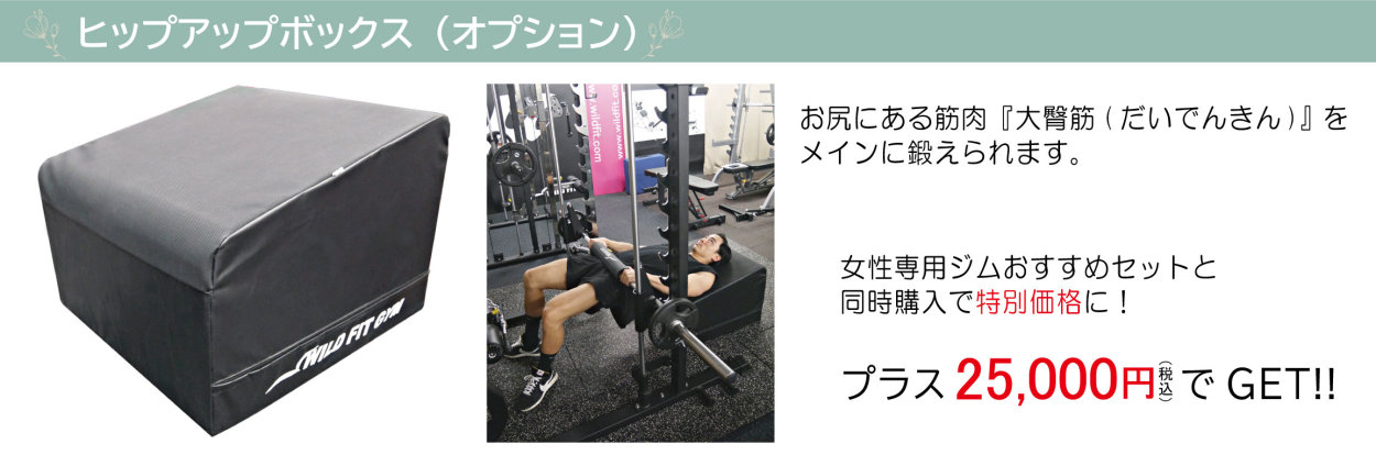 WILD FIT（ワイルドフィット） 即納可能 パーソナルジム 開業応援C