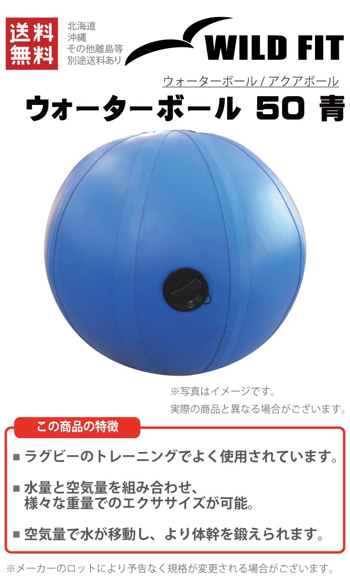 WILD FIT（ワイルドフィット） ウォーターボール 50 青 返品・交換不可
