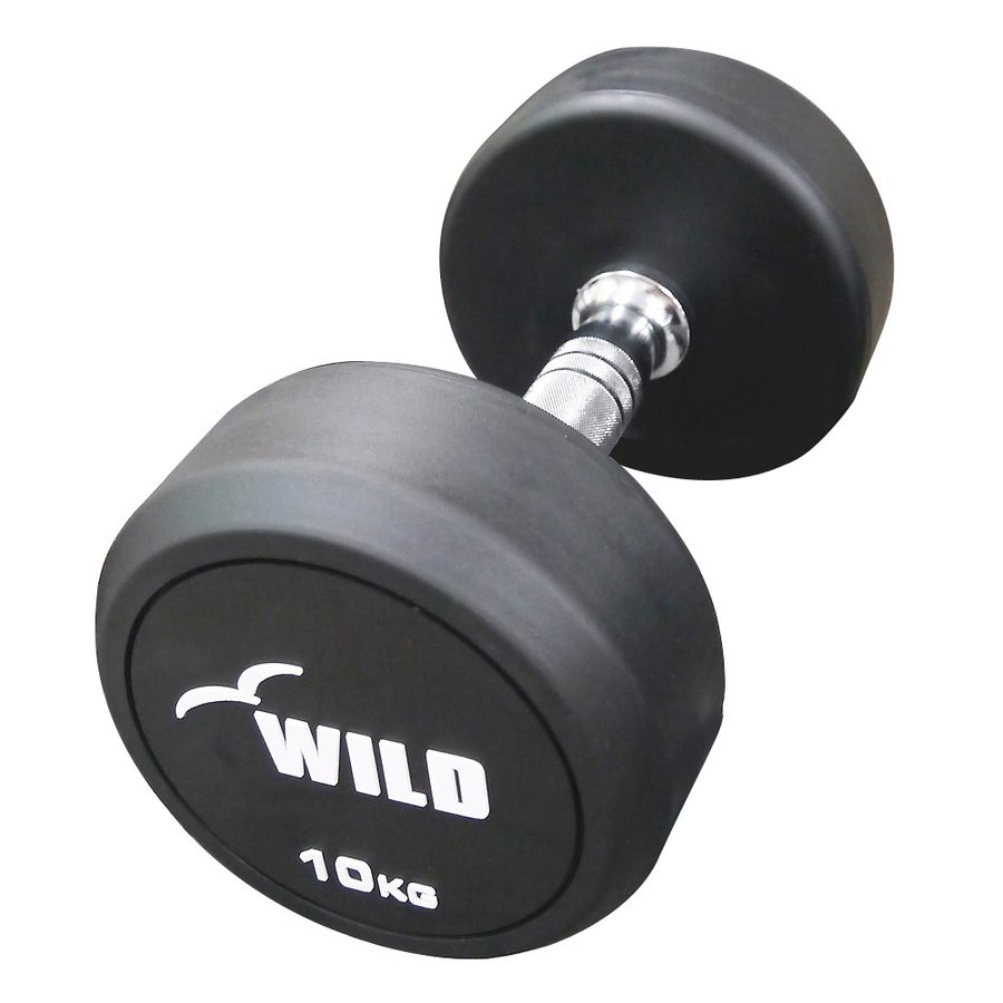 WILD FIT（ワイルドフィット） 固定式 ダンベル WF セット / ダンベル