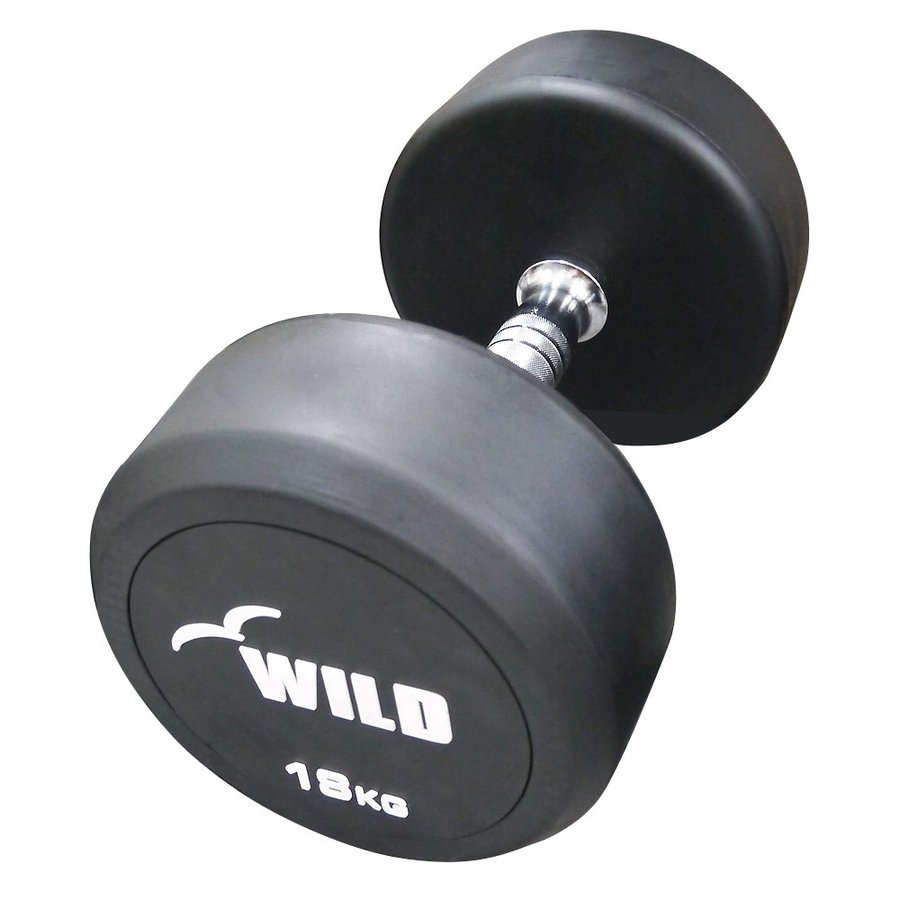 固定式 ダンベル 26kg WF / WILD FIT ワイルドフィット ジムダンベル