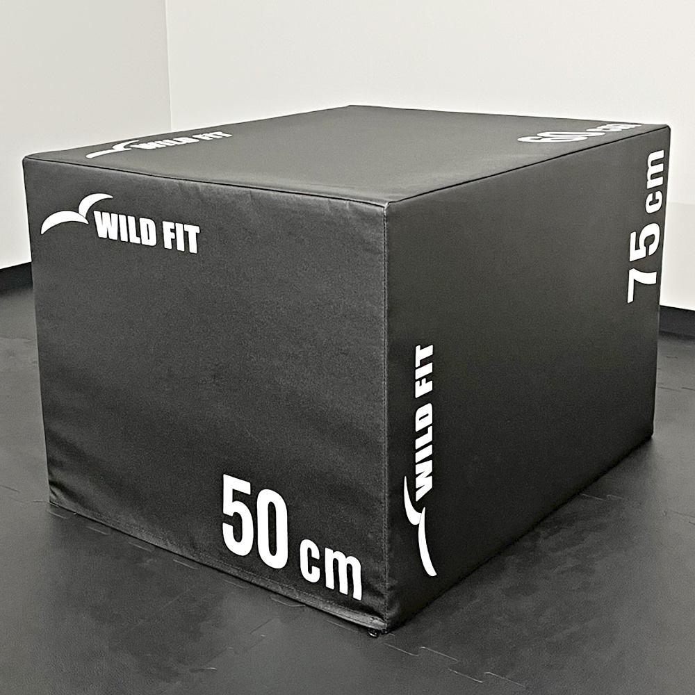 WILD FIT（ワイルドフィット） ソフトプライオボックス ラージ / 3in1