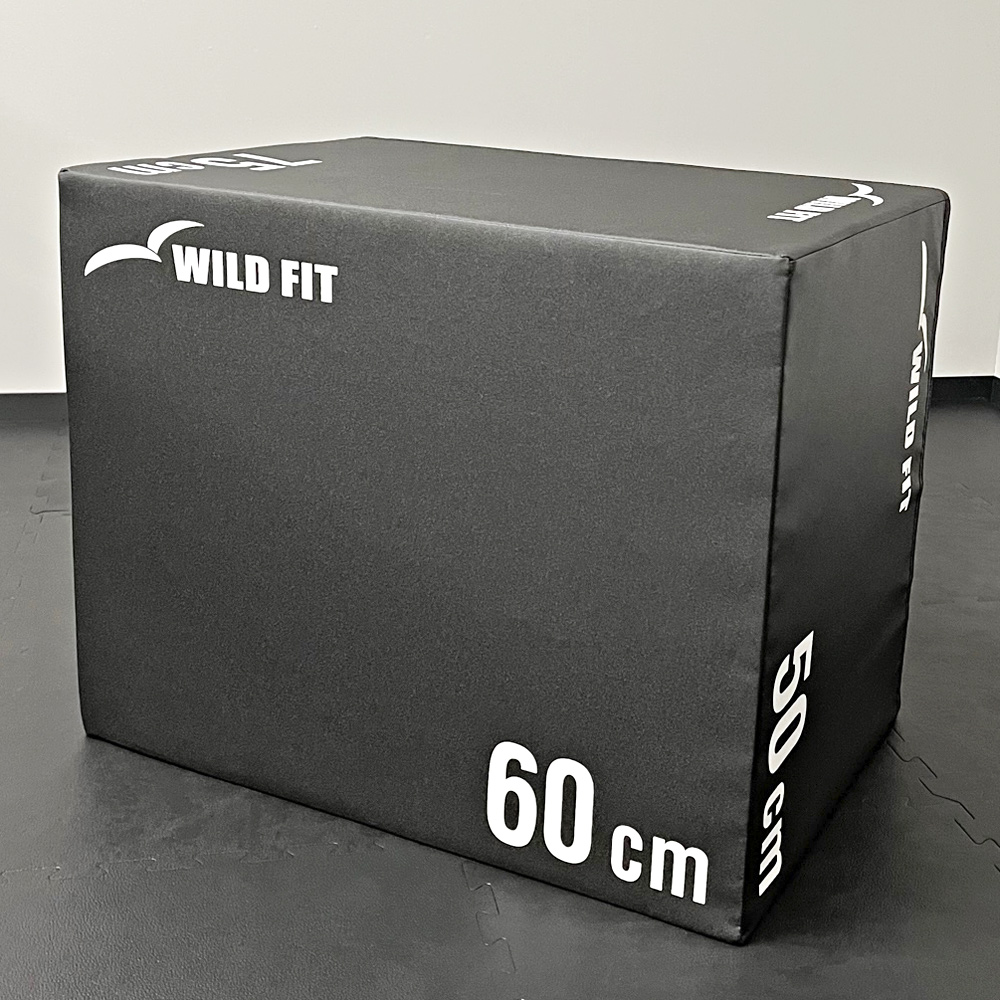 WILD FIT（ワイルドフィット） ソフトプライオボックス ラージ / 3in1