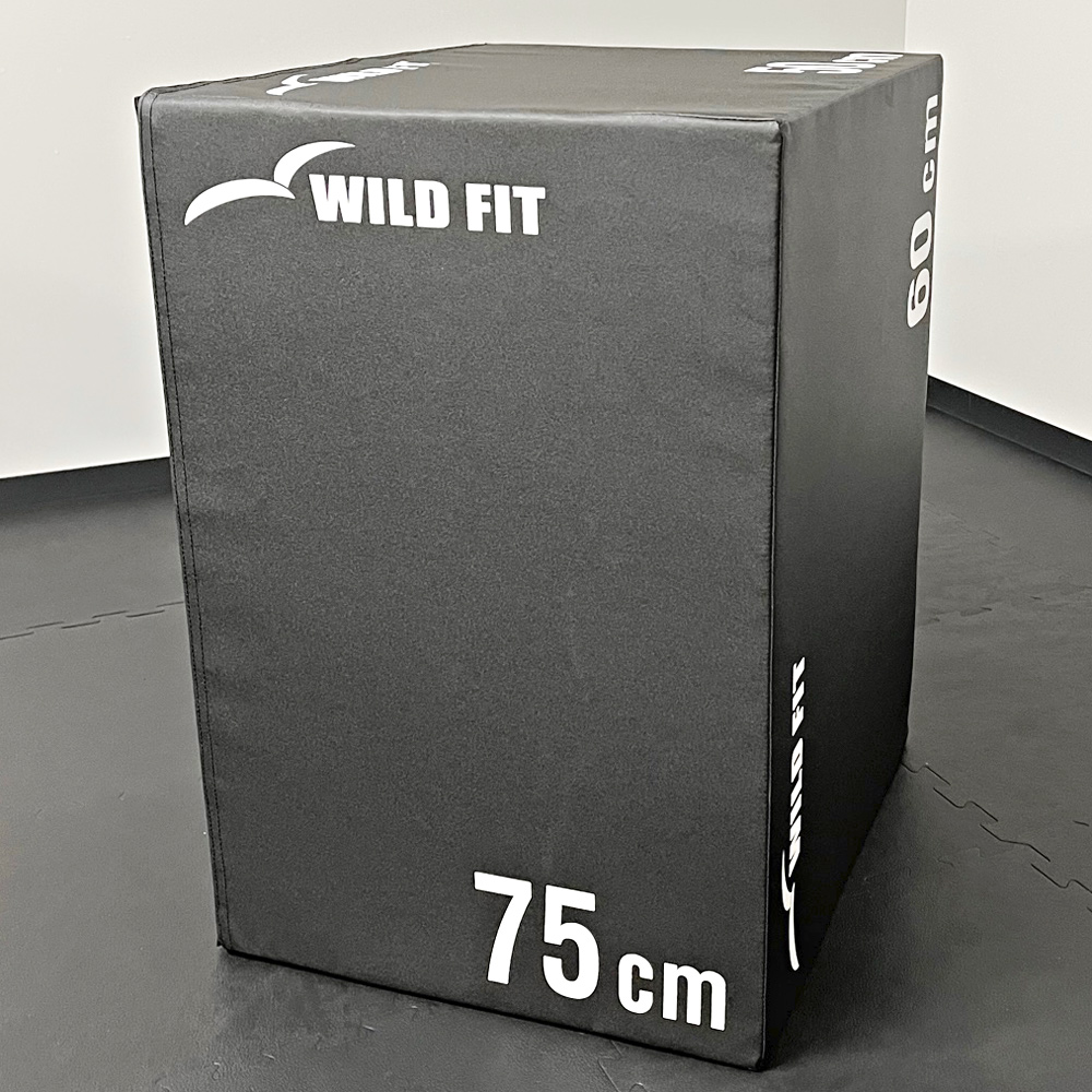 WILD FIT（ワイルドフィット） ソフトプライオボックス ラージ / 3in1